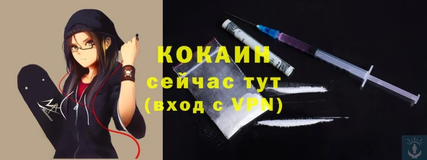 гидра Аркадак