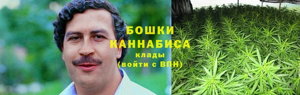 гидра Аркадак